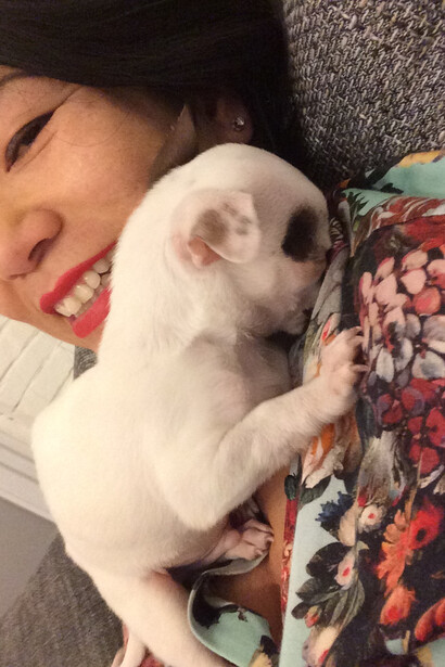 Face aux incompréhensions du monde, l’amour d’un chien reste un langage universel que personne ne devrait traduire en accusation