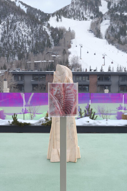 Shahryar Nashat, Raw is the red, exhibition view. Courtesy of Aspen Art Museum