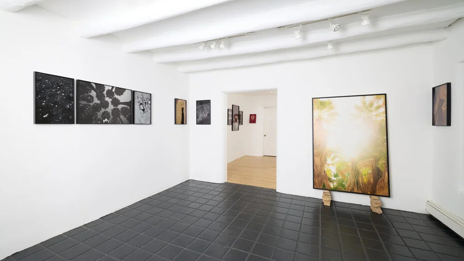 Marcus Xavier Chormicle, Say uncle, exhibition view. Courtesy of smoke the moon