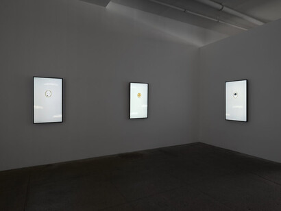 Robert Wilson, Animals, exhibition view. Courtesy of Winston Wächter Fine Art