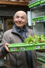 Les Leçons de chausses de Gérard Hauray. 110 micro paysages témoignent de la vie secrète du végétal : sous nos chaussures  s'opèrent des croisements avec la vie urbaine et la colonisation insoupçonnée du minéral

