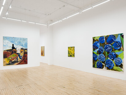 Ken Taylor Reynaga, Golden hills, exhibition view. Courtesy of Shrine 