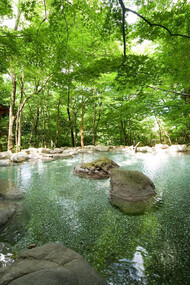 Hot springs are literally everywhere in Japan