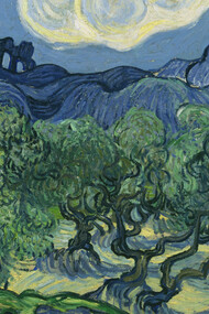 Vincent Van Gogh; Los olivos, 1889, Museum of Modern Art, Nueva York