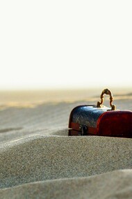 Sometimes, the most extraordinary discoveries are hiding just beneath the surface