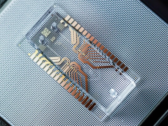 The microfluidic chip, a key element of future lab-on-a-chip devices