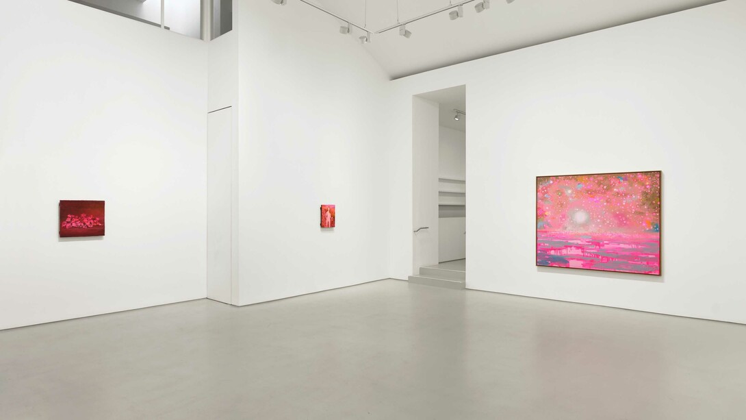 Tursic & Mille, Lavis en rose, exhibition view. Courtesy of Galerie Max Hetzler
