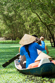 Manglar del delta del Mekong