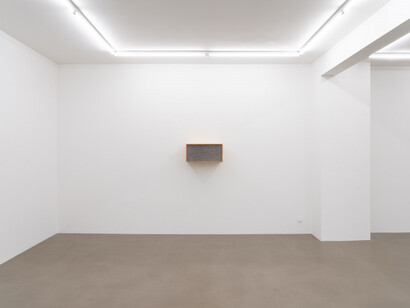 Henrik Håkansson, An ideal for living (The insect societies, prototype), ausstellungsansicht. Mit freundlicher genehmigung der Galerie Meyer Riegger