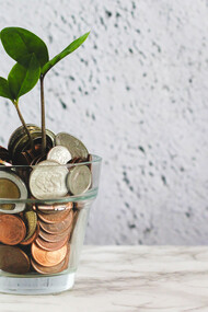 The World Bank and the International Monetary Fund continue to argue for sustainable growth