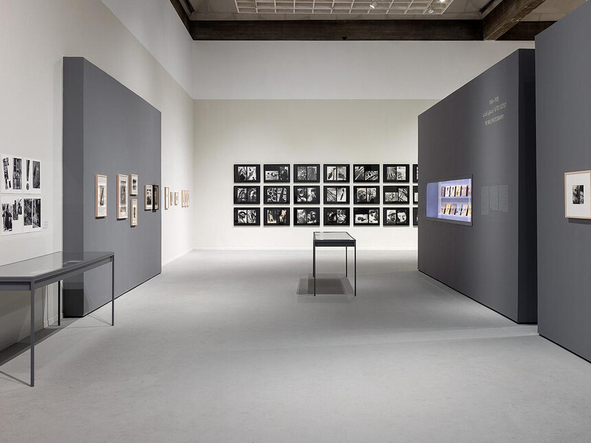 Moi-Ver-Moi-Ver-slash-Moshe-