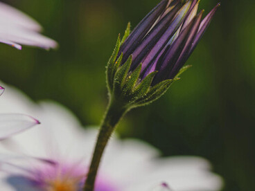 La obra denuncia cómo la voz de la mujer es sistemáticamente ignorada, aún bajo la apariencia de buenos tratos o promesas de bienestar