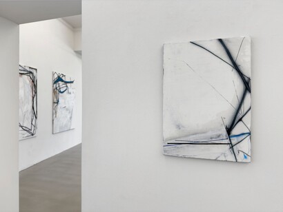 Sophia Schama, S 5925, exhibition view. Courtesy of Galerie Rupert Pfab