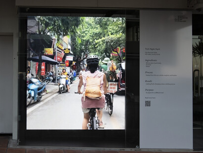 Open window: Trịnh Ngân Hạnh, thịt phơi phố, exhibition view. Courtesy of Govett-Brewster Gallery