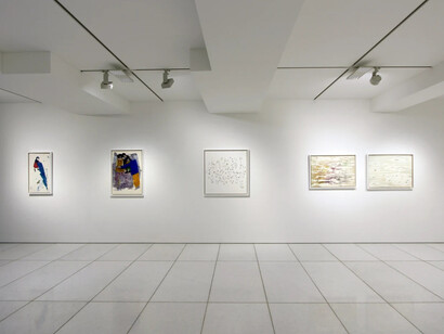 Baek Eunha, Glorious ear, exhibition view. Courtesy of Arario Gallery 