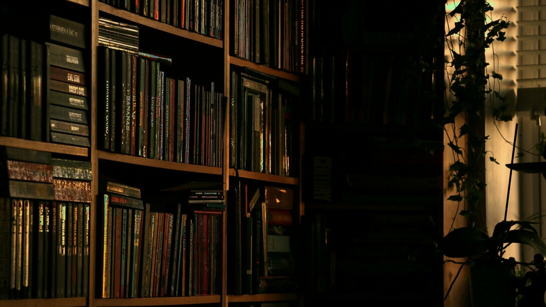 Books and books and books, a collection that is not enough