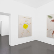 Henry Chapman, Writing, installation view, T293, Napoli