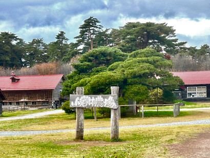 Kamimaru Cowshed erected between 1908 and 1935, Koiwai Farm © Alma Reyes