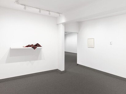 Liliana Porter and Douglas Huebler, exhibition view. Courtesy of Krakow Witkin Gallery