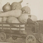 Fake! Courtesy of Rijksmuseum