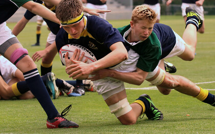 Der Schwarm ist rastlos und orientierungslos zugleich. Er bewegt sich, doch er kommt nirgends an