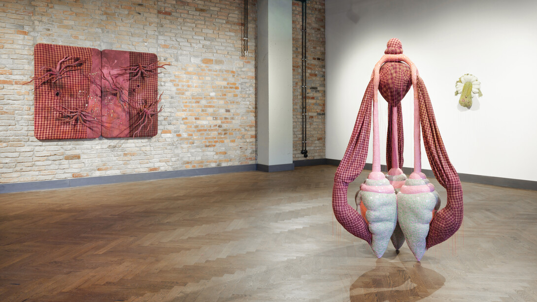 Zsófia Keresztes, The chamoile protocol, ausstellungsansicht. Mit freundlicher genehmigung des König Telegraphenamts