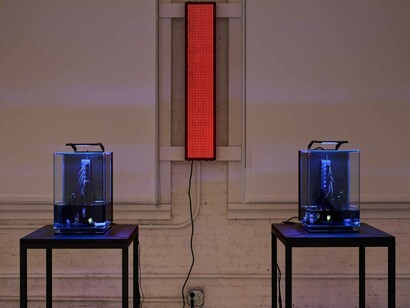 Various artists, Four dilations, exhibition view. Courtest of MoMA PS1