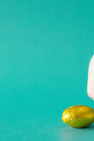 A curious white rabbit, enticing the reader