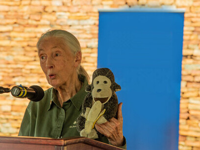Nos demostró que la naturaleza es verdaderamente sabia, fascinante y, para nada, aburrida. Debemos tomar conciencia y actuar ya. Jane Goodall, el 4 de abril de 2022, visita la Misión de EE. UU. en Uganda