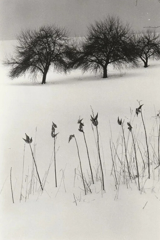 Joseph Buemi, Winter, Binghampton (detail), 1979. Courtesy of Maus Contemporary