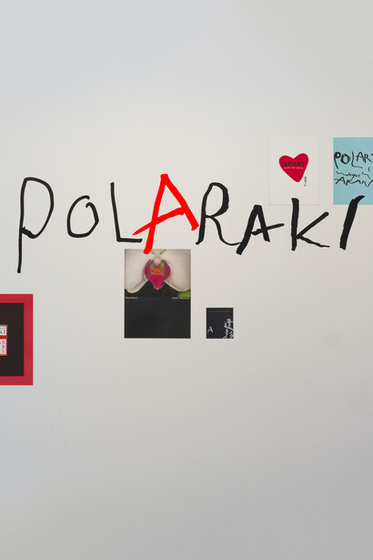 Araki Nobuyoshi, Polaraki, exhibition view. Courtesy of Musée Guimet