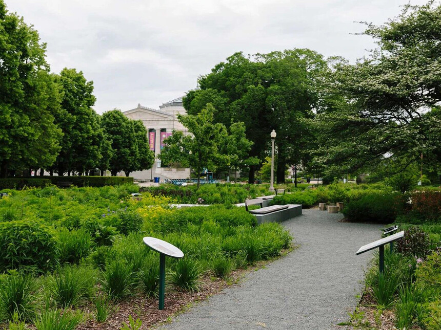 Rice native gardens Meer