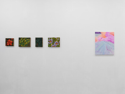 Geraldo Dos Santos and Mel Chan, Airthropology: what floats between us, exhibition view. Courtesy of Josilda da Conceição Gallery