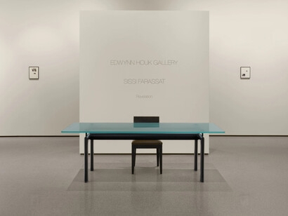 Sissi Farassat, Revelation, exhibition view. Courtesy of Edwynn Houk Gallery