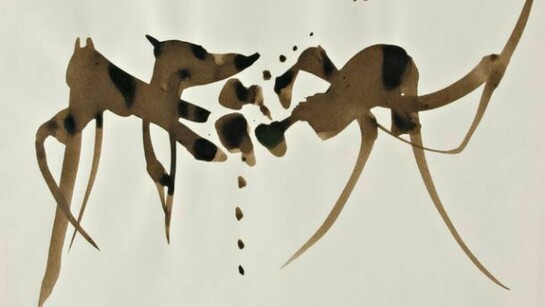 Cesare Peverelli, Les Mouettes, 1960, Inchiostro su carta, © Cesare Peverelli, Raccolta del disegno, Galleria civica di Modena