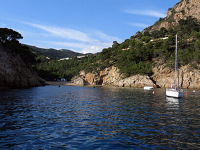 Por las tardes, cuando los rayos del sol caen oblicuos, camino por el acantilado hacia la espesa pineda. Cala Pola y el Macizo de las Sillitas, Tossa de Mar) Costa Brava, España