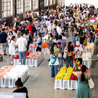Cj Hendry, Flower market 2.0, exhibition view. Courtesy of Maximus Communications