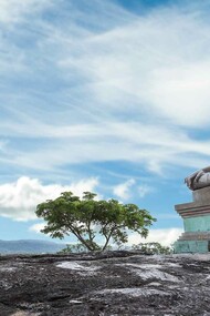 A metaphorical representation of the impact and influence of Wind in Traditional Chinese Medicine as witnessed by a young Chinese monk in front of a Buddha statue