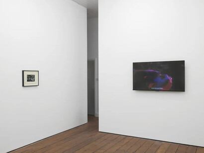 Various artists, Condo 2026, exhibition view. Courtesy of Amanda Wilkinson