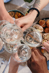 Celebração com um brinde entre amigos