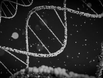 The rabies virus challenges the molecular clock, reminding us that DNA doesn’t always tick evenly