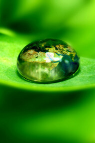 Natura incontaminata