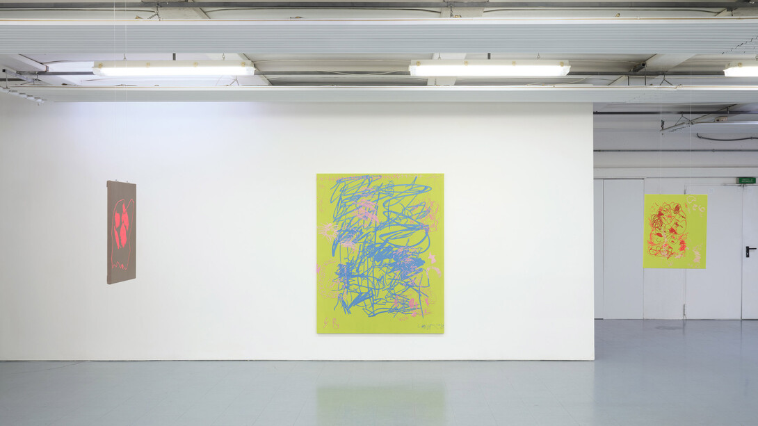 Andrew Iacobucci, Lucky days never come loudly, veduta dell’esposizione. Cortesia di COLLI