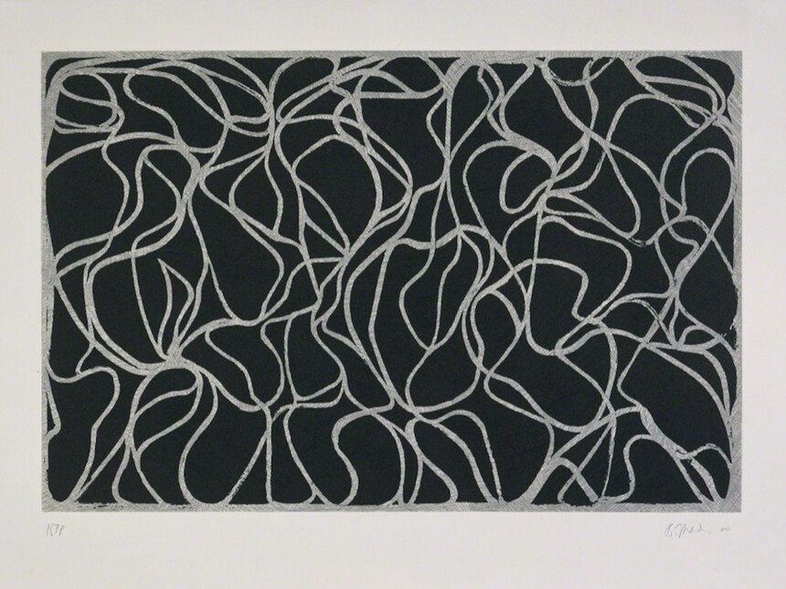 Brice Marden. Prints | Meer