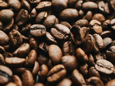 Curiosamente Portugal não produz café mas sim, duas de suas antigas colônias imperiais. Na América do Sul o Brasil e, no Sudeste Asiático o Timor, de onde importam, processam, torram e industrializam o grão, agregando valor e comercializando nos mercados interno e externo. Como o faz a economia holandesa, modelo clássico do trading que, é sua às vezes concorrente e parceira, desde os idos anos dos descobrimentos na Idade Média