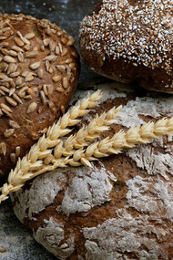 Lo que comenzó como una búsqueda cotidiana de pan recién horneado se transformó en una reflexión sobre la historia, la cultura y la transformación de este alimento fundamental