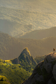 Il migliore dei mondi possibili