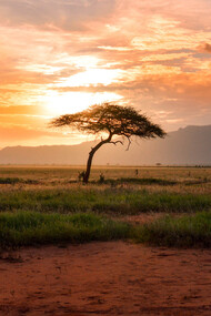 Il futuro è in Africa