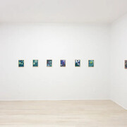 An Hoang, Garden poems, exhibition view. Courtesy of Halsey McKay Gallery