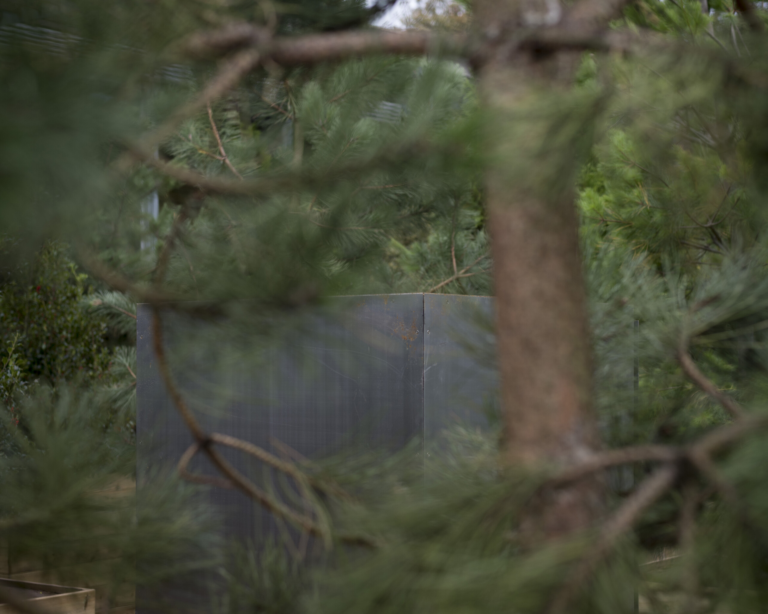 Alfredo Jaar, The Garden of Good and Evil, 2017. Courtesy the artist